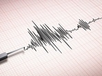 The earthquake struck at a depth of 10 kilometres, as per NCS data. The earthquake struck at a depth of 10 kilometres, as per NCS data.