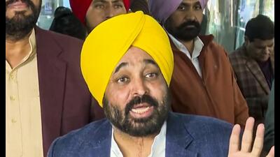 Punjab chief minister Bhagwant Mann. (PTI file)