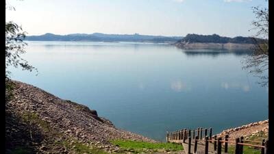 The reservoir or lake is a famous wildlife sanctuary and one of the 25 international wetland sites declared by Ramsar Sammel in India. (File)