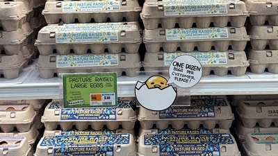 A sign for customers shopping for eggs at Trader Joe’s hangs by the cartons in Merrick, New York, February 16, 2025. (REUTERS)