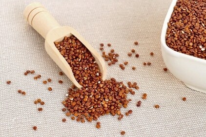 Quinoa is a rare superfood. It is one of the highest protein-rich foods and has more fiber than any other grain. This can be consumed as a meal, mixed with vegetables or plain as a substitute to rice. (Pinterest) Quinoa is a rare superfood. It is one of the highest protein-rich foods and has more fiber than any other grain. This can be consumed as a meal, mixed with vegetables or plain as a substitute to rice. (Pinterest)