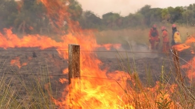 The same hills near Mananthavady saw another wildfire on Tuesday, one day after it had devastated a portion of the grassland in the Kambamala woods in this mountainous area. (AFP/representative)