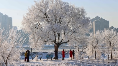 This photo taken on January 12, 2025 shows people gathering to see frost-covered trees on the bank of Songhua River in China's Jilin. (Representational Photo) (AFP) This photo taken on January 12, 2025 shows people gathering to see frost-covered trees on the bank of Songhua River in China's Jilin. (Representational Photo) (AFP)
