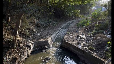 Meanwhile, the Khadakwasla irrigation division claimed that removing the hyacinth and keeping the water in canals and rivers clean is the PMC’s responsibility. (HT PHOTO) Meanwhile, the Khadakwasla irrigation division claimed that removing the hyacinth and keeping the water in canals and rivers clean is the PMC’s responsibility. (HT PHOTO)