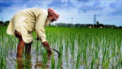 Challenges, such as water disputes, territorial rights, economic stagnation, rising unemployment, and the agrarian crisis, transcend partisan politics. These are not issues to be politicised but should form the foundation of a unified agenda for Punjab’s leadership. (Representational photo) Challenges, such as water disputes, territorial rights, economic stagnation, rising unemployment, and the agrarian crisis, transcend partisan politics. These are not issues to be politicised but should form the foundation of a unified agenda for Punjab’s leadership. (Representational photo)