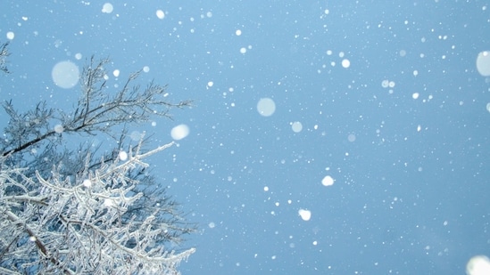 Virginia Beach and Norfolk experienced heavy snowfall. (Representational image)