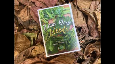 Know Your Weeds by Shruti Tharayil is a curated list of 10 wild edible plants found growing on the roadside in neighbourhoods across India. Know Your Weeds by Shruti Tharayil is a curated list of 10 wild edible plants found growing on the roadside in neighbourhoods across India.