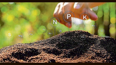 Phosphorus, in Greek, means ‘bringer of light’. Large stores of it lie trapped in Earth’s mantle, and have leaked onto the surface via volcanic activity, particularly in the early years, as the planet cooled. (Adobe Stock) Phosphorus, in Greek, means ‘bringer of light’. Large stores of it lie trapped in Earth’s mantle, and have leaked onto the surface via volcanic activity, particularly in the early years, as the planet cooled. (Adobe Stock)