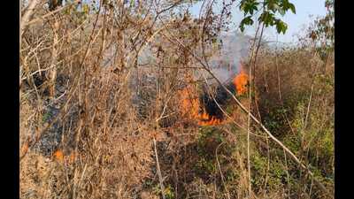 The forest also recorded another forest fire incident on Thursday. A team of forest officials and the fire brigade doused the fire. (HT PHOTO) The forest also recorded another forest fire incident on Thursday. A team of forest officials and the fire brigade doused the fire. (HT PHOTO)