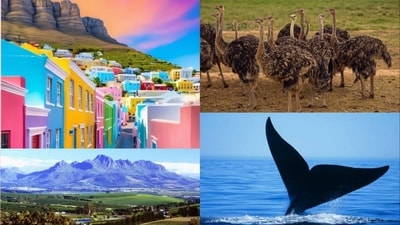 Discover the magic of Cape Town: A love story written in every landscape. (Images by X) Discover the magic of Cape Town: A love story written in every landscape. (Images by X)