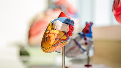 “High remnant cholesterol levels are highly associated with a higher risk of cardiovascular disease," said Dr Sandeep Khasa. (Unsplash) “High remnant cholesterol levels are highly associated with a higher risk of cardiovascular disease," said Dr Sandeep Khasa. (Unsplash)