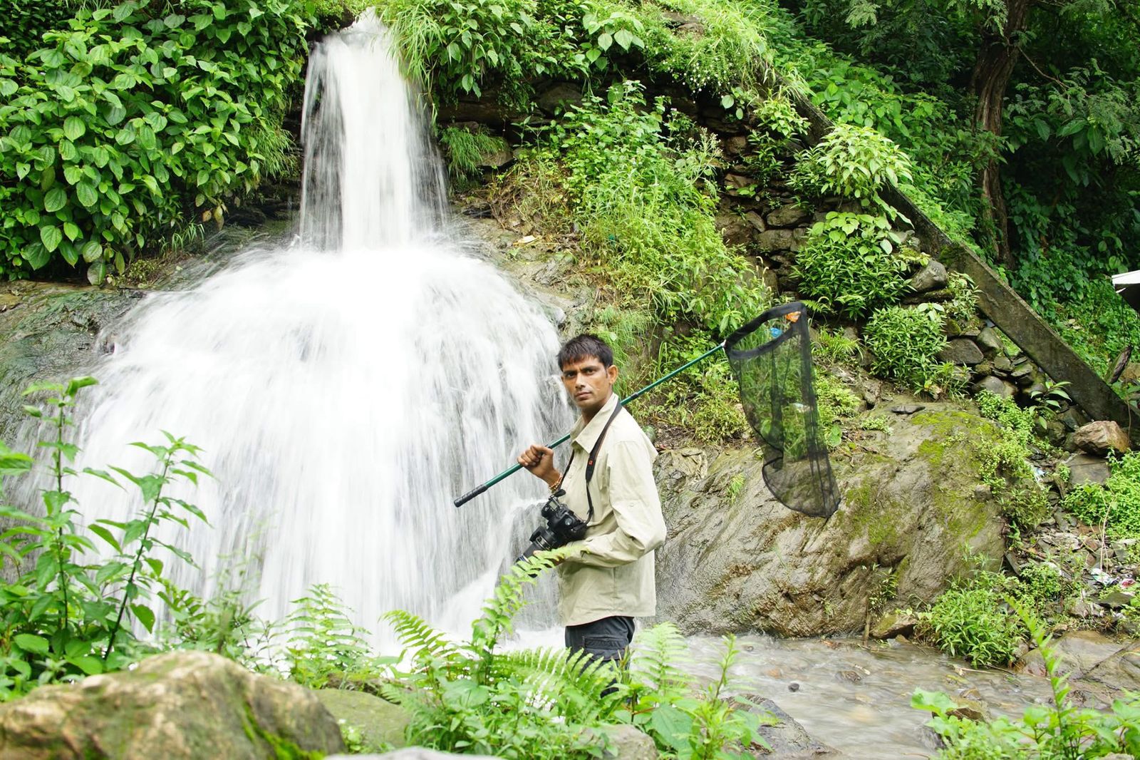 Mot of the 162 species represented in the Field Guide to the Dragonflies and Damselflies of Northwest India were shot by its author Dheerendra Singh. Mot of the 162 species represented in the Field Guide to the Dragonflies and Damselflies of Northwest India were shot by its author Dheerendra Singh.