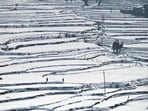 Kashmir, India - January. 12, 2025: A man and woman walk on snow covered rice field at Gund some 70 kilometers from Srinagar,on, 12 January 2025.(Photo By Waseem Andrabi /Hindustan Times)--