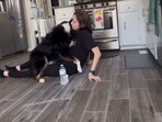 The dog helped the woman as she experienced an episode of Postural Orthostatic Tachycardia Syndrome (POTS). The dog helped the woman as she experienced an episode of Postural Orthostatic Tachycardia Syndrome (POTS).