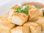 Tofu and Greek yoghurt to Nuts and seeds, start adding these four high-protein foods to your parents' diet for stronger muscles, better digestion, and long-term health. (Representative pictures: Freepik) Tofu and Greek yoghurt to Nuts and seeds, start adding these four high-protein foods to your parents' diet for stronger muscles, better digestion, and long-term health. (Representative pictures: Freepik)