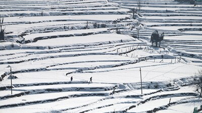 Kashmir, India - January. 12, 2025: A man and woman walk on snow covered rice field at Gund some 70 kilometers from Srinagar,on, 12 January 2025.(Photo By Waseem Andrabi /Hindustan Times)--
