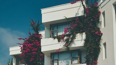 Architects say that in 2025 balconies will make a comeback as a luxury element, especially in cities like Mumbai. (Picture for representational purposes only) (Pexels) Architects say that in 2025 balconies will make a comeback as a luxury element, especially in cities like Mumbai. (Picture for representational purposes only) (Pexels)