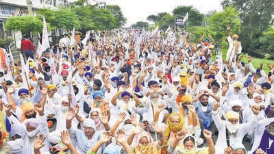 Nearly half of India’s population still depends on a farm-based income and agriculture accounts for about 17% of the country’s gross domestic product or GDP (HT Photo)