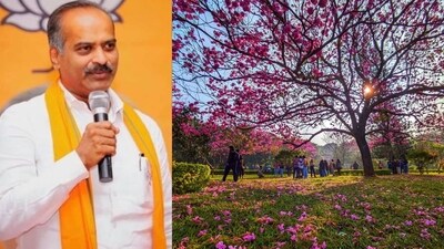 The proposed Art Park is coming up near Venkatappa Art Gallery. The proposed Art Park is coming up near Venkatappa Art Gallery.
