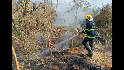 The concept of joint forest management has existed in India since the 1980s, though there is no official record of when UJFMCs were first formed in Maharashtra. (HT FILE) The concept of joint forest management has existed in India since the 1980s, though there is no official record of when UJFMCs were first formed in Maharashtra. (HT FILE)