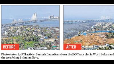 BMC asks Navy to show go-ahead for trees felled at INS Trata BMC asks Navy to show go-ahead for trees felled at INS Trata