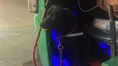Jackie rides along with his master in the auto. (X/@damnyanti)