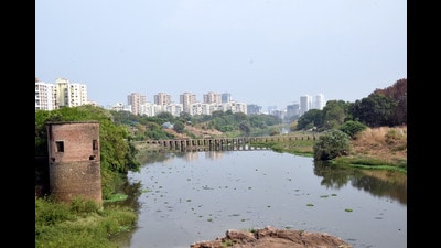 Many environmentalists and green activists from Pimpri-Chinchwad and Pune visited the PCMC office to check the documents of the proposed tree cutting and transplant for the RFD project. (REPRESENTATIVE PHOTO)