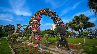 People walk amid flowers in full bloom near Mandi House on Monday. (Sanchit Khanna/HT photo) People walk amid flowers in full bloom near Mandi House on Monday. (Sanchit Khanna/HT photo)