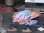 A 23-year-old man allegedly killed five people, including brother, grandmother, uncle, aunt and girlfriend. Visuals from the crime scene. A 23-year-old man allegedly killed five people, including brother, grandmother, uncle, aunt and girlfriend. Visuals from the crime scene.