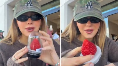 Social media influencer Alyssa Antoci bought a $19 strawberry from Erewhon, claiming it was the best ever. (X/@embersunn) Social media influencer Alyssa Antoci bought a $19 strawberry from Erewhon, claiming it was the best ever. (X/@embersunn)