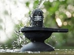 What to offer Lord Shiva with your Monday fasts