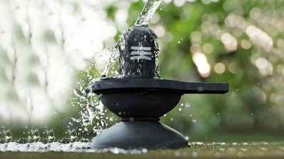 What to offer Lord Shiva with your Monday fasts