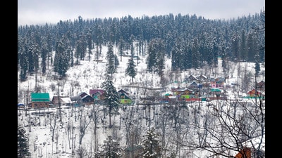 View after fresh snowfall in Jammu and Kashmir’s Baramulla district on Wednesday. (PTI) View after fresh snowfall in Jammu and Kashmir’s Baramulla district on Wednesday. (PTI)