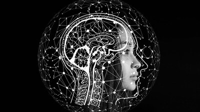 Study reveals a method to measure brain ageing pace using MRI scans and deep learning. (Pixabay) Study reveals a method to measure brain ageing pace using MRI scans and deep learning. (Pixabay)