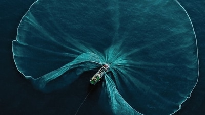 Fishermen harvesting anchovies in Phu Yen, Vietnam. (Robert Middleton)