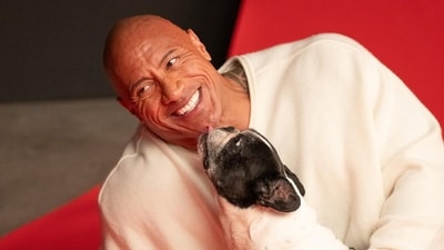 Dwayne Johnson said goodbye to his dog Hobbs, remembering him as a loving companion and a cherished member of the family. Dwayne Johnson said goodbye to his dog Hobbs, remembering him as a loving companion and a cherished member of the family.