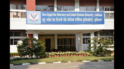 Dr Jasbir Singh Bedi, director, Centre for One Health, vet varsity, Ludhiana, delivered a lecture on “Veterinary aspects of sentinel surveillance under the National One Health Programme for prevention and control of zoonoses.” (HT Photo) Dr Jasbir Singh Bedi, director, Centre for One Health, vet varsity, Ludhiana, delivered a lecture on “Veterinary aspects of sentinel surveillance under the National One Health Programme for prevention and control of zoonoses.” (HT Photo)