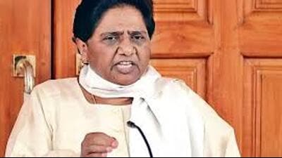 Mayawati is asking her party leaders to highlight the schemes launched under the BSP governments for the welfare of the Dalits. (HT file)