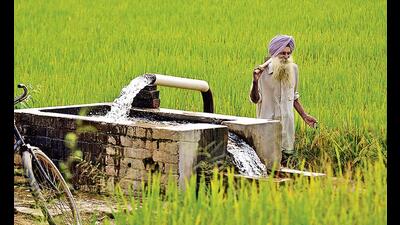 The Constitution mandates the equitable and socially just use of natural resources, including groundwater. (HT File) The Constitution mandates the equitable and socially just use of natural resources, including groundwater. (HT File)