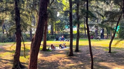 Picnic under the tree shades in Lodhi Garden Lawns as temperatures rise in Delhi (Vipin Kumar/ Hindustan Times) Picnic under the tree shades in Lodhi Garden Lawns as temperatures rise in Delhi (Vipin Kumar/ Hindustan Times)