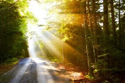 Exposure to light helps the brain with alertness cues- which further helps in regulating the sleep wake cycle of the body. This helps us to sleep better.&nbsp; (Unsplash)