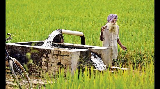 The Constitution mandates the equitable and socially just use of natural resources, including groundwater. (HT File)