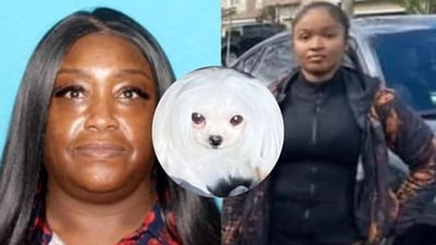 Lagashia Williams and Graciela Amar got entangled in a heated dispute with their neighbour on February 19, which ended with one of them kicking his elderly dog, Gigi, viciously. As a result, the dog suffered liver failure. (Instagram / Pittsburg Police Department / GoFundMe) Lagashia Williams and Graciela Amar got entangled in a heated dispute with their neighbour on February 19, which ended with one of them kicking his elderly dog, Gigi, viciously. As a result, the dog suffered liver failure. (Instagram / Pittsburg Police Department / GoFundMe)