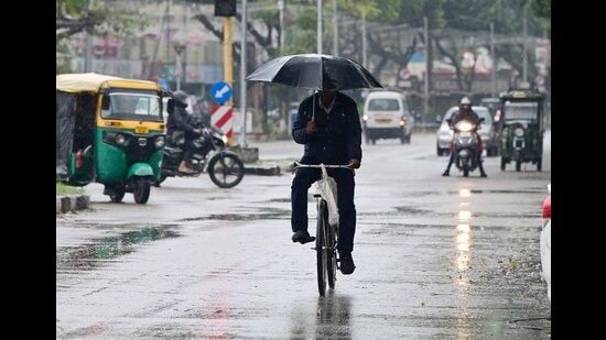 A cyclist taking cover from the rain in Sector 16, Chandigarh, on Friday. (Keshav Singh/HT)