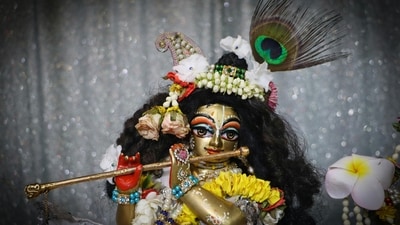 Phulera Dooj 2025: The significance of this festival is deep rooted in Lord Krishna's lore and Holi. (Pexels) Phulera Dooj 2025: The significance of this festival is deep rooted in Lord Krishna's lore and Holi. (Pexels)