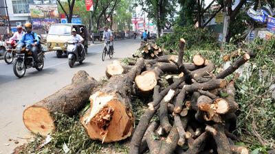 Maval Member of Parliament Shrirang Barne has extended support to the greens requesting PCMC to make alternative arrangement to avoid felling of trees for RFD project. ((PIC FOR REPRESENTATION)) Maval Member of Parliament Shrirang Barne has extended support to the greens requesting PCMC to make alternative arrangement to avoid felling of trees for RFD project. ((PIC FOR REPRESENTATION))