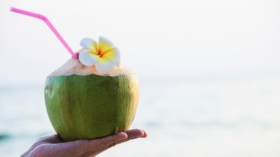 WebMD adds that coconut water contains high levels of potassium, so don't drink it if you have high potassium levels in your blood. (Freepik) WebMD adds that coconut water contains high levels of potassium, so don't drink it if you have high potassium levels in your blood. (Freepik)