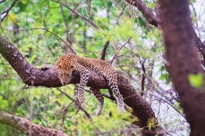 A photo clicked by Malavika