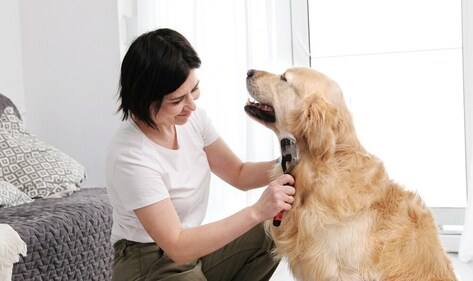 Regular brushing is required. (Shutterstock) Regular brushing is required. (Shutterstock)