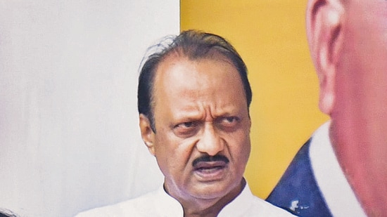 Maharashtra deputy chief minister Ajit Pawar said efforts are being made to get the Pune bus rape case investigated properly (HT_PRINT)